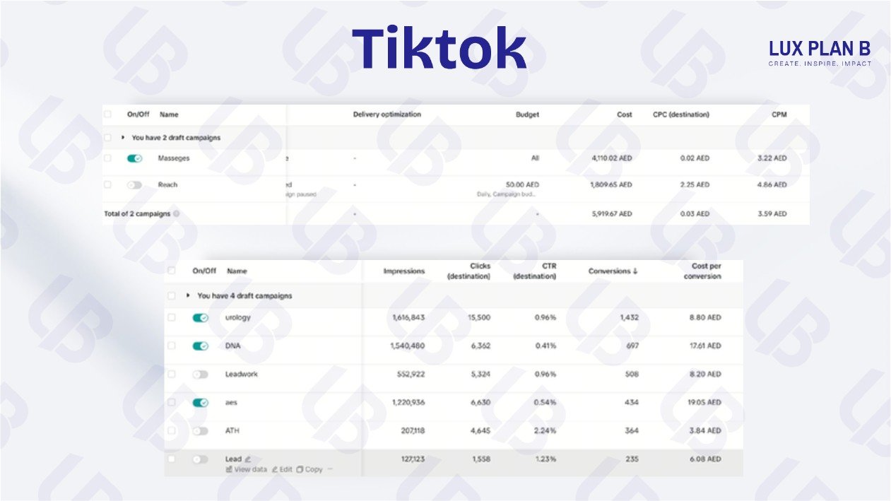 TikTok Ads dashboard with real campaign metrics